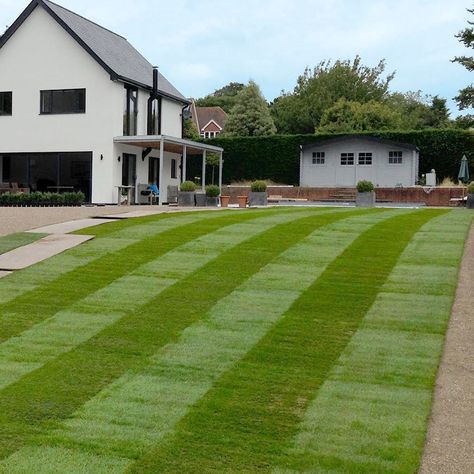 lawns surrey