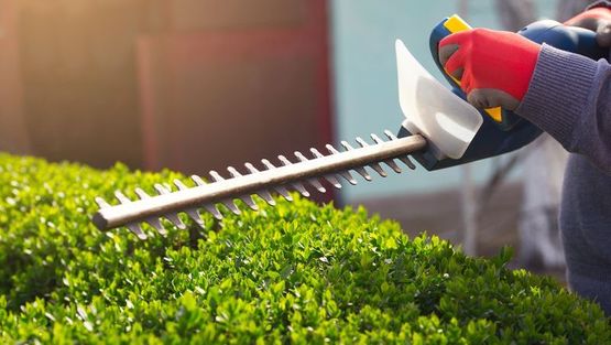 Hedge Trimming and Cutting